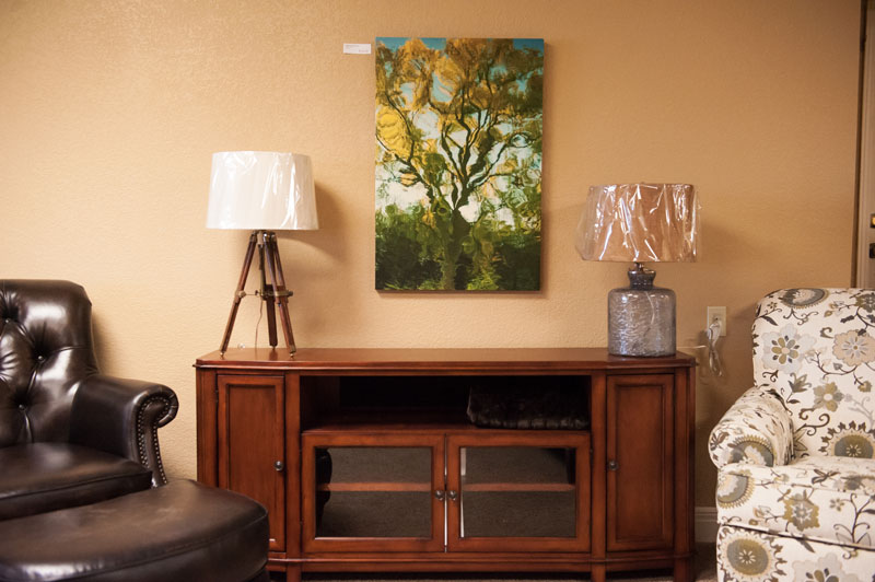 Furniture Set